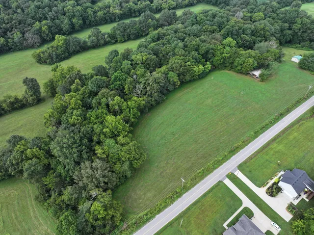 a view of a green yard with a lake