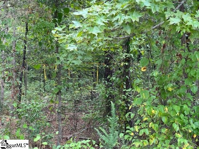0 Chandler Road Pelzer, SC 29669 - Photo 1 of 2 Gallery Image 1