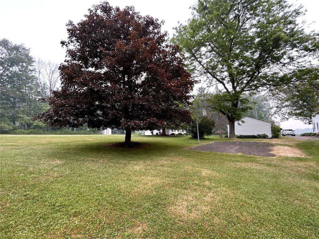 329 Port Road Binghamton, NY 13901 - Photo 37 of 50 Gallery Image 37