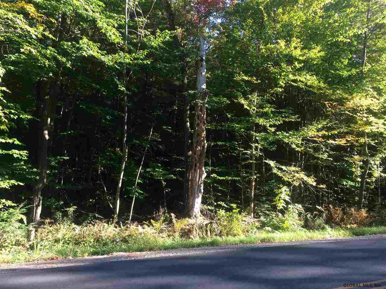 39 Tannery Hill Road Greenfield, NY 12859 - Photo 1 of 8 Photo 1