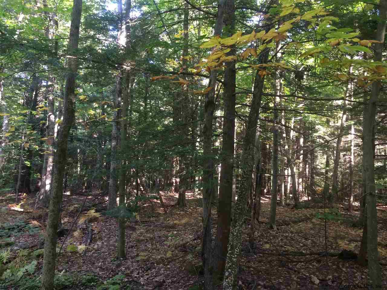 39 Tannery Hill Road Greenfield, NY 12859 - Photo 3 of 8 Photo 3