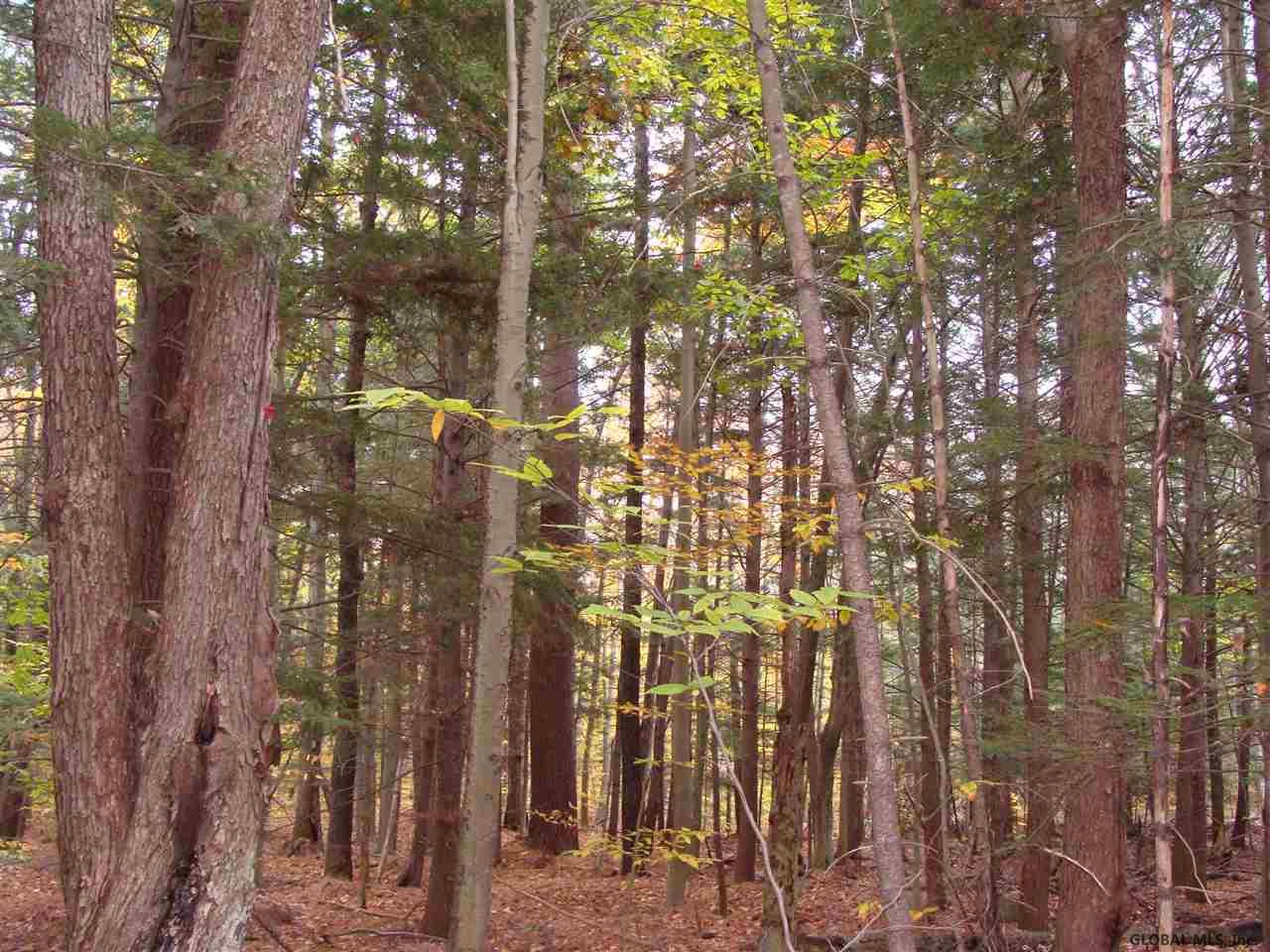 39 Tannery Hill Road Greenfield, NY 12859 - Photo 4 of 8 Photo 4