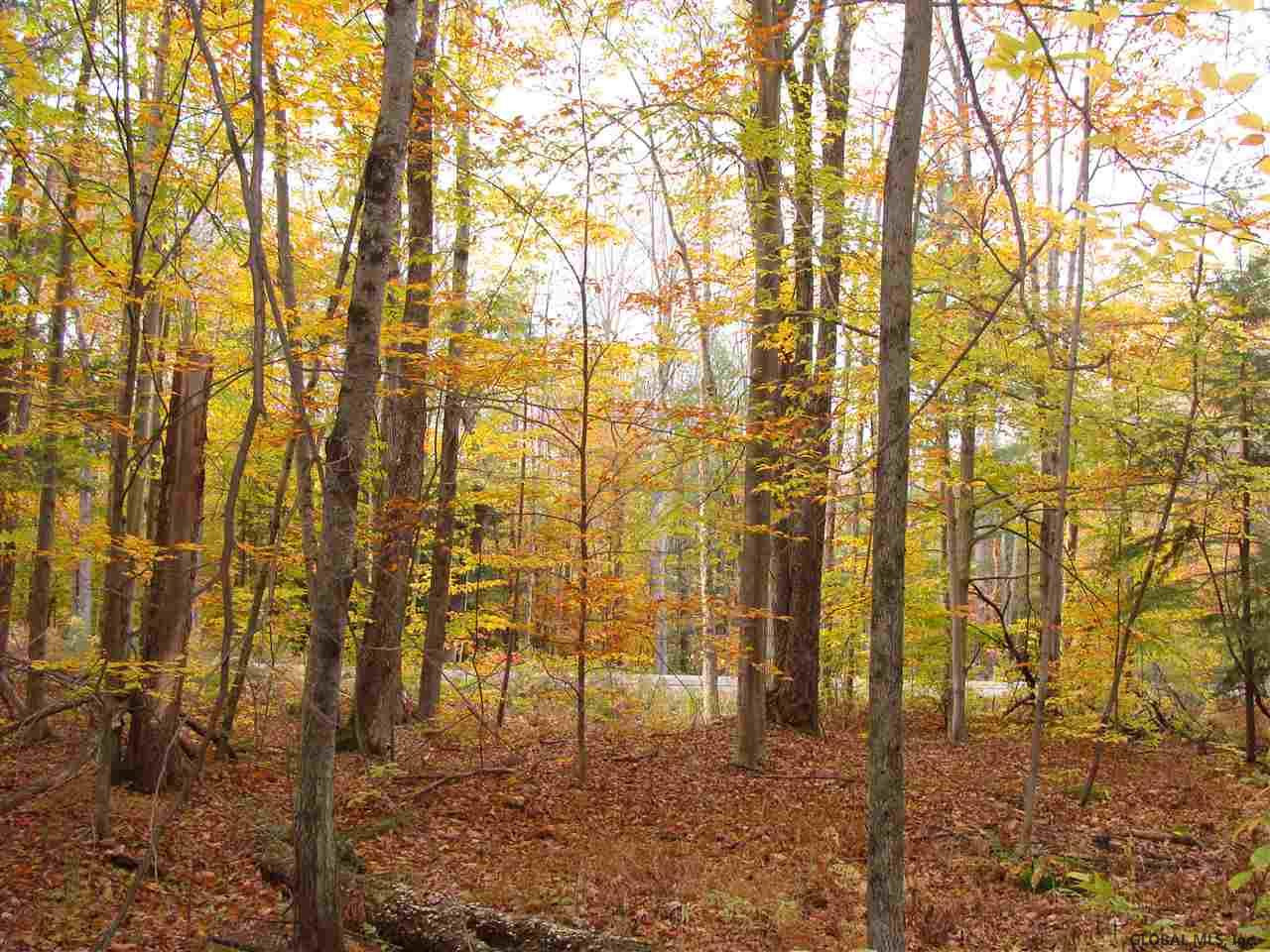39 Tannery Hill Road Greenfield, NY 12859 - Photo 6 of 8 Photo 6