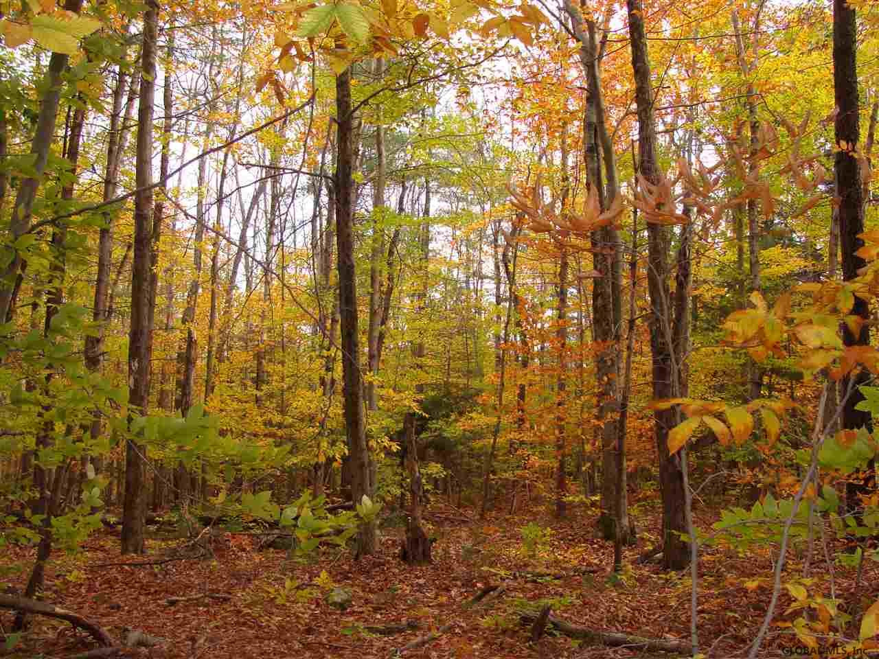 39 Tannery Hill Road Greenfield, NY 12859 - Photo 7 of 8 Photo 7
