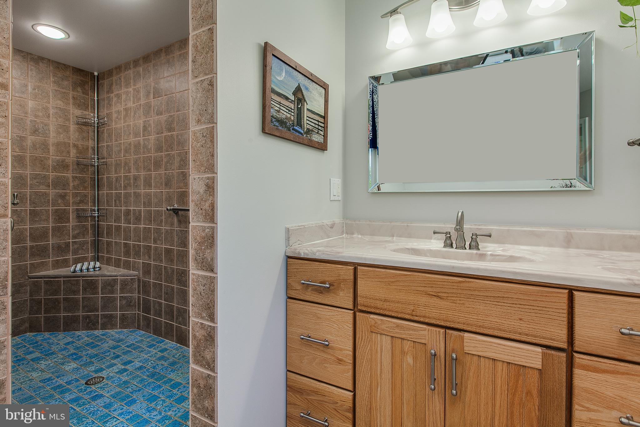 5060 Walnut Grove Road Taneytown, MD 21787 - Photo 39 of 54 1st Floor Master Bathroom