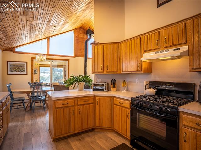 299 Dilley Road Westcliffe, CO 81252 - Photo 8 of 30 Gallery Image 8