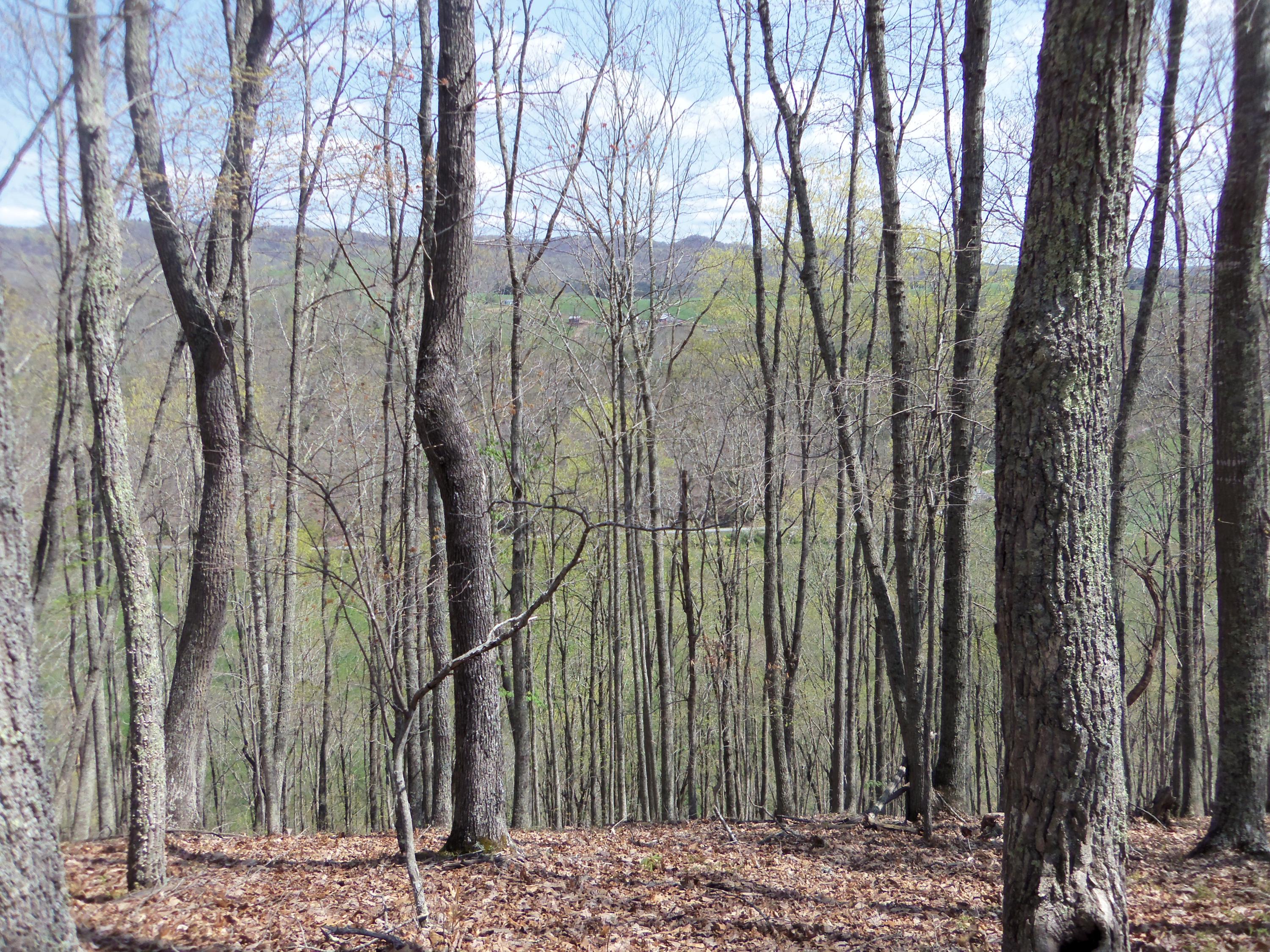 Little Wolf Creek Road Hinton, WV 25951 - Photo 18 of 18 Gallery Image 18