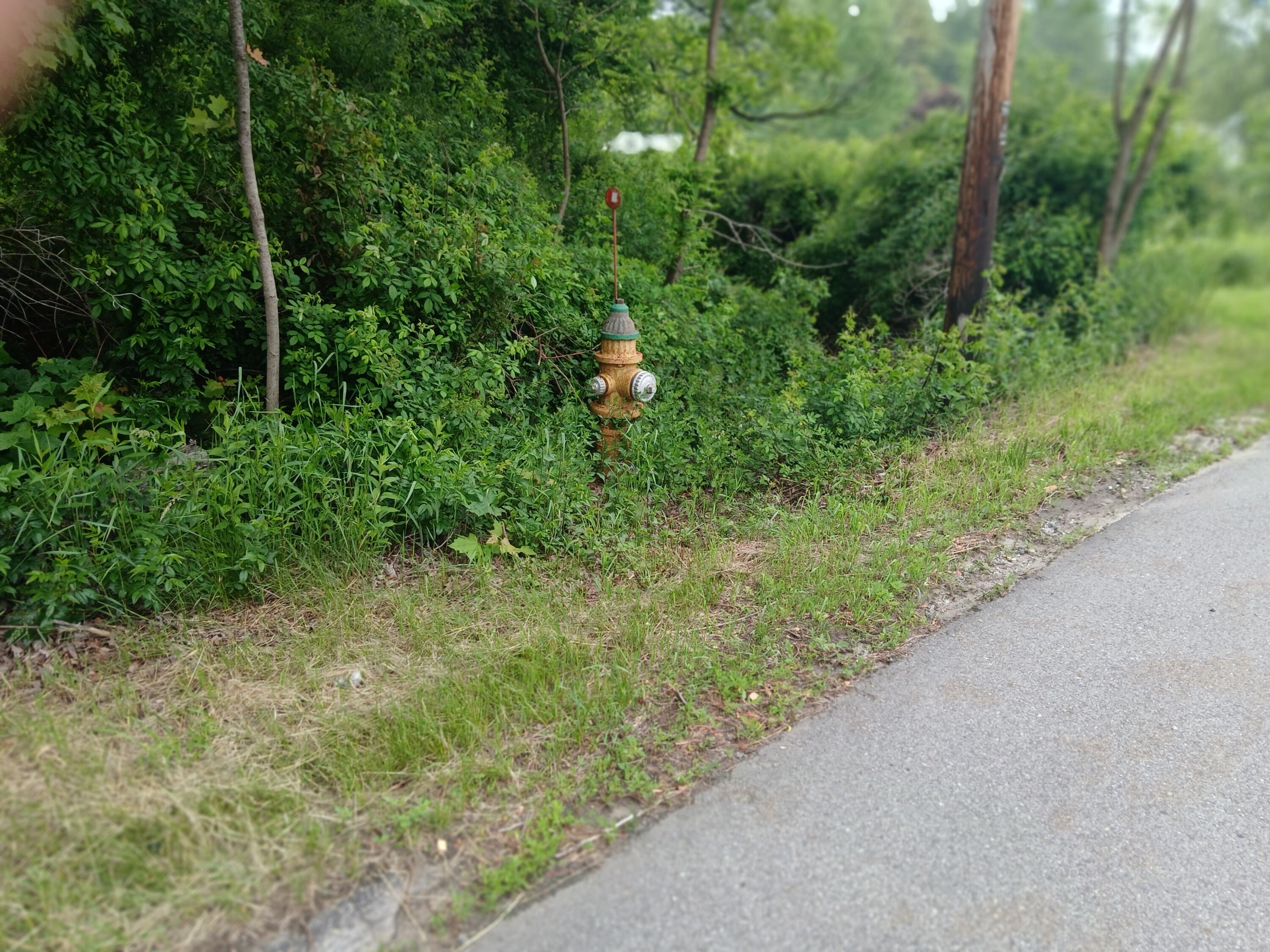 209 Mosher Road Gorham, ME 04038 - Photo 11 of 14 20250609_094414