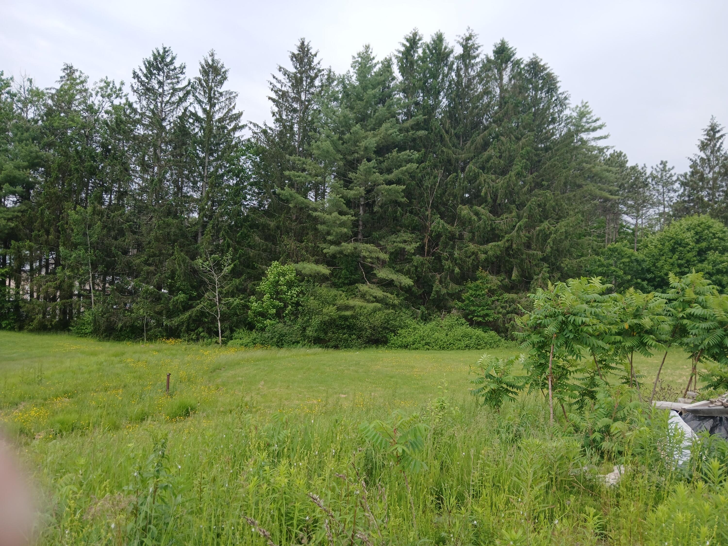 209 Mosher Road Gorham, ME 04038 - Photo 13 of 14 20250609_094231