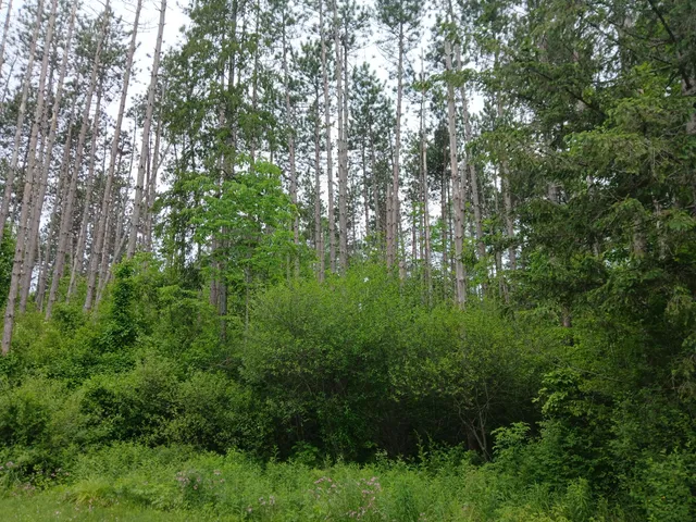 $300,000 | 209 Mosher Road, Gorham, ME 04038