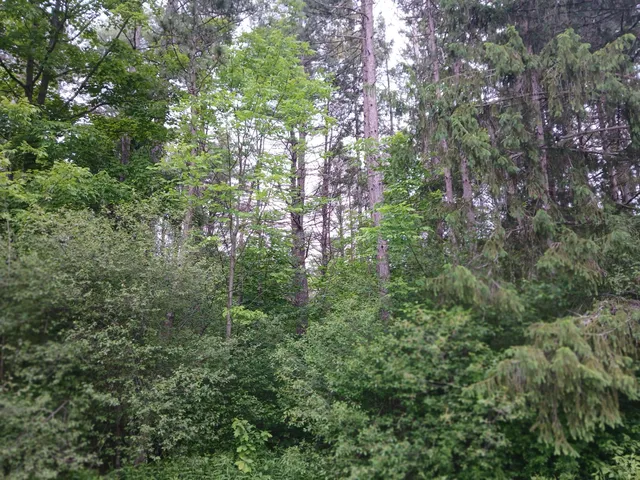 $300,000 | 209 Mosher Road, Gorham, ME 04038