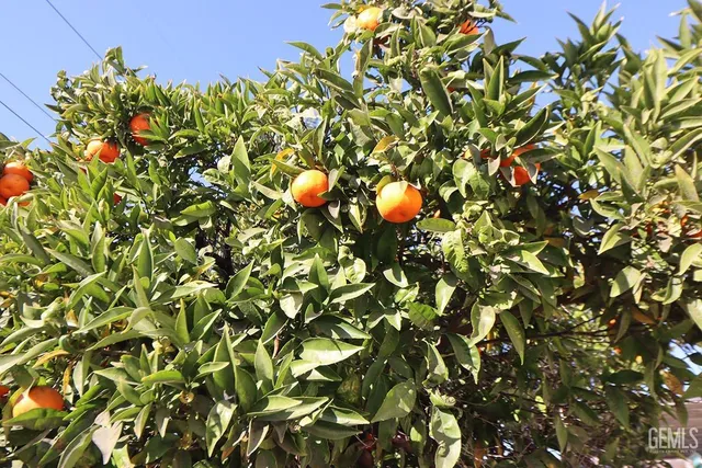 a view of a house with swimming pool and sitting area