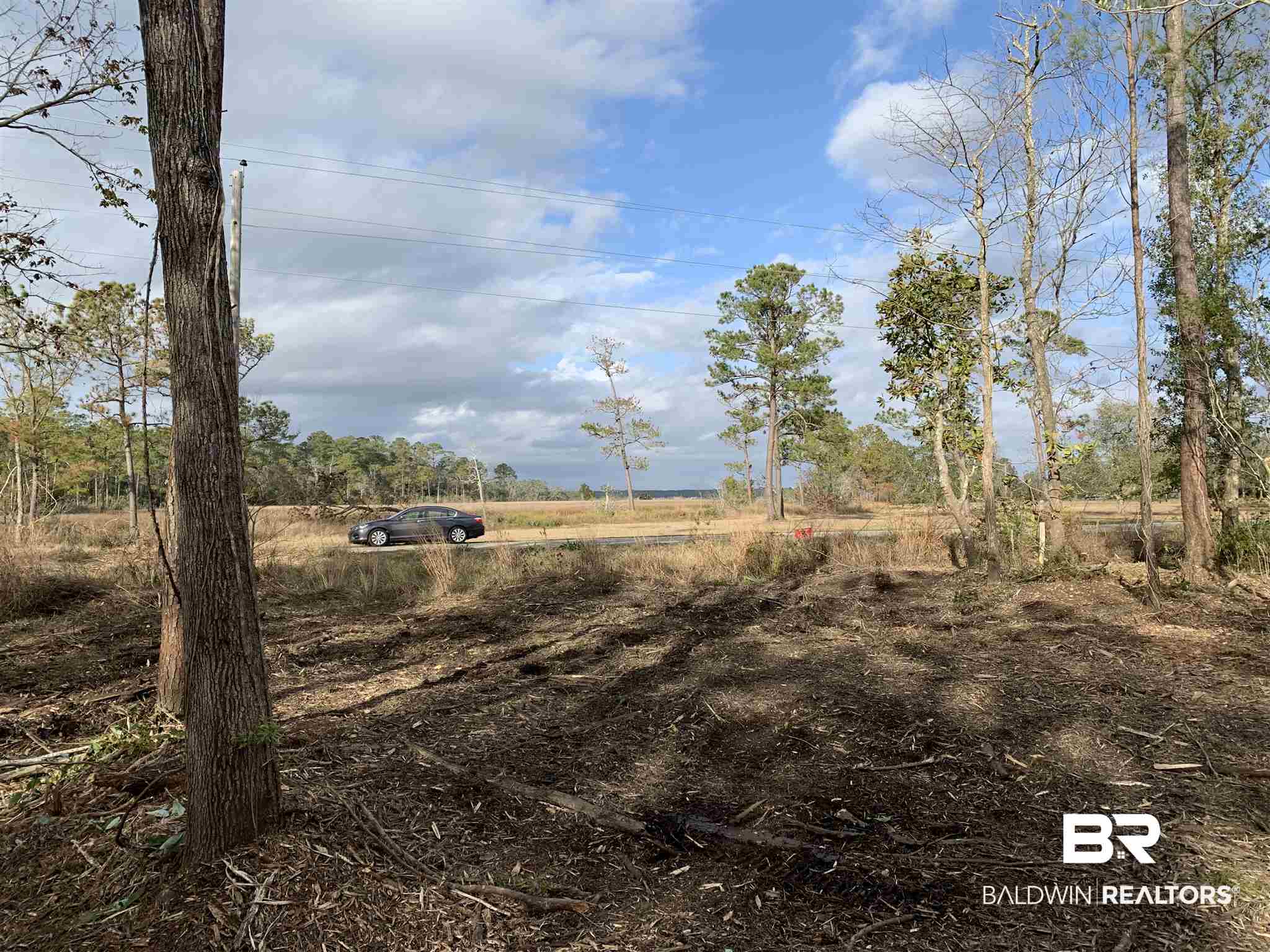 10501 County Road 1 Fairhope, AL 36532 - Photo 6 of 33