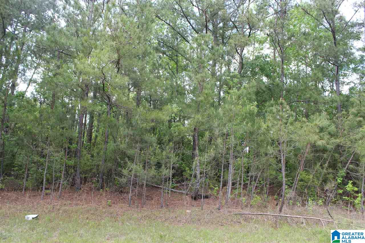 0 County Road 38 Jemison, AL 35085 - Photo 4 of 13