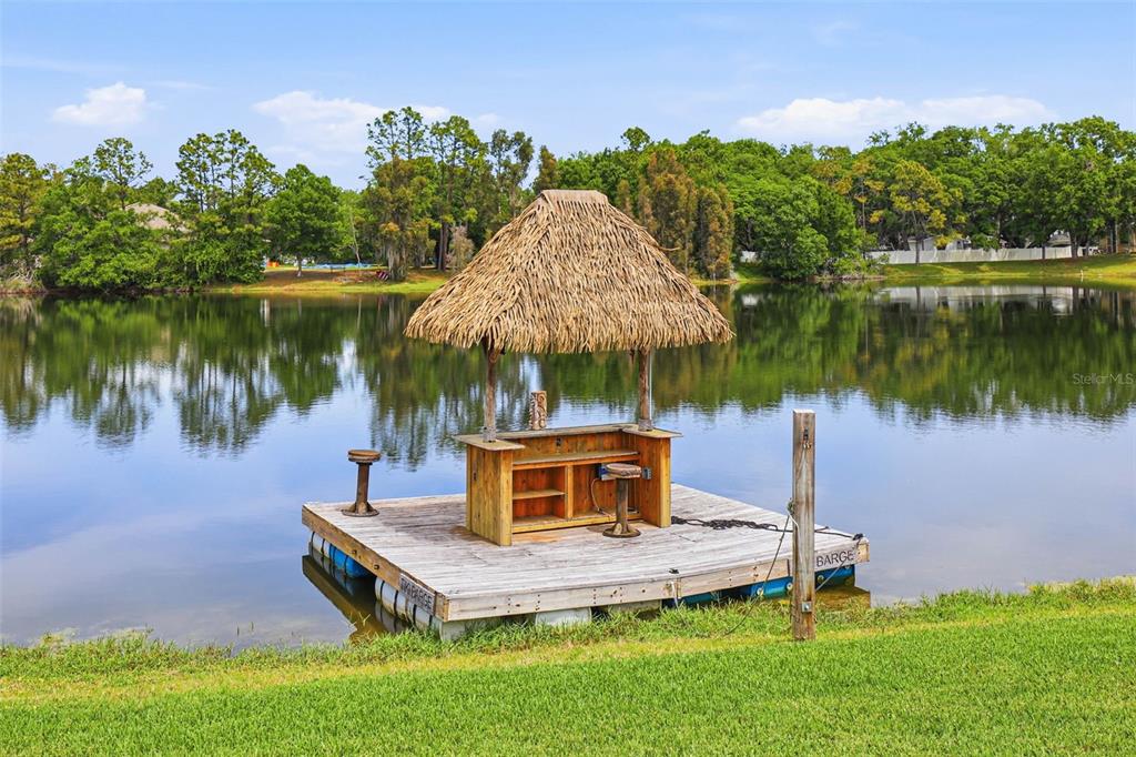 16533 Hutchison Road Odessa, FL 33556 - Photo 50 of 65