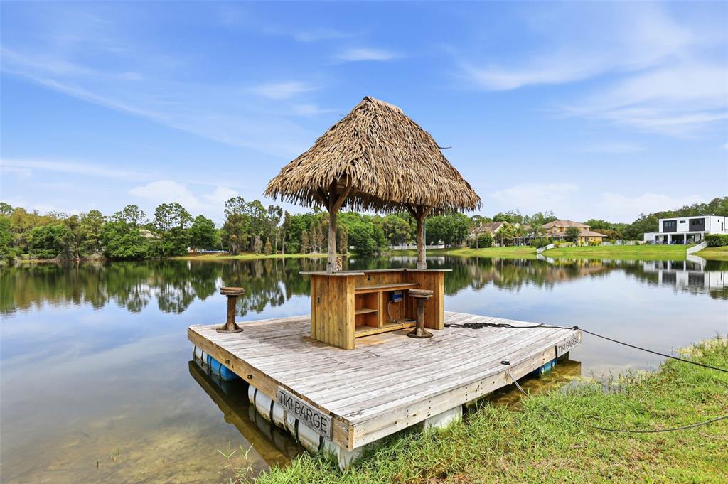 16533 Hutchison Road Odessa, FL 33556 - Photo 52 of 65