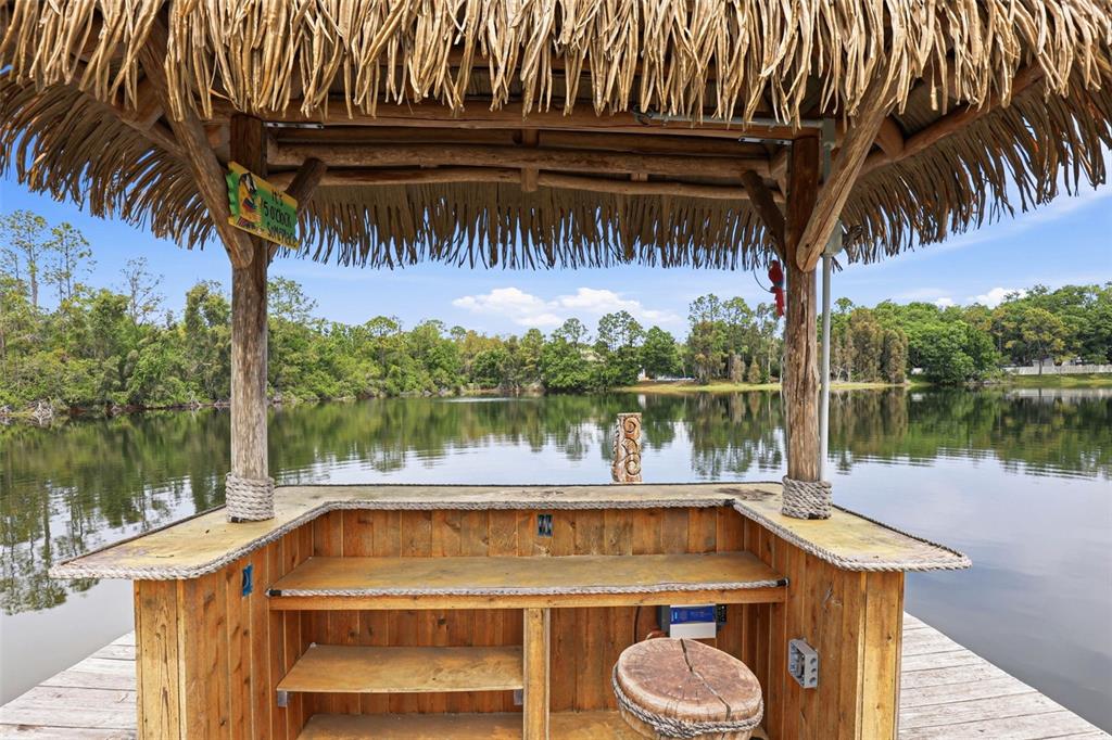 16533 Hutchison Road Odessa, FL 33556 - Photo 54 of 65