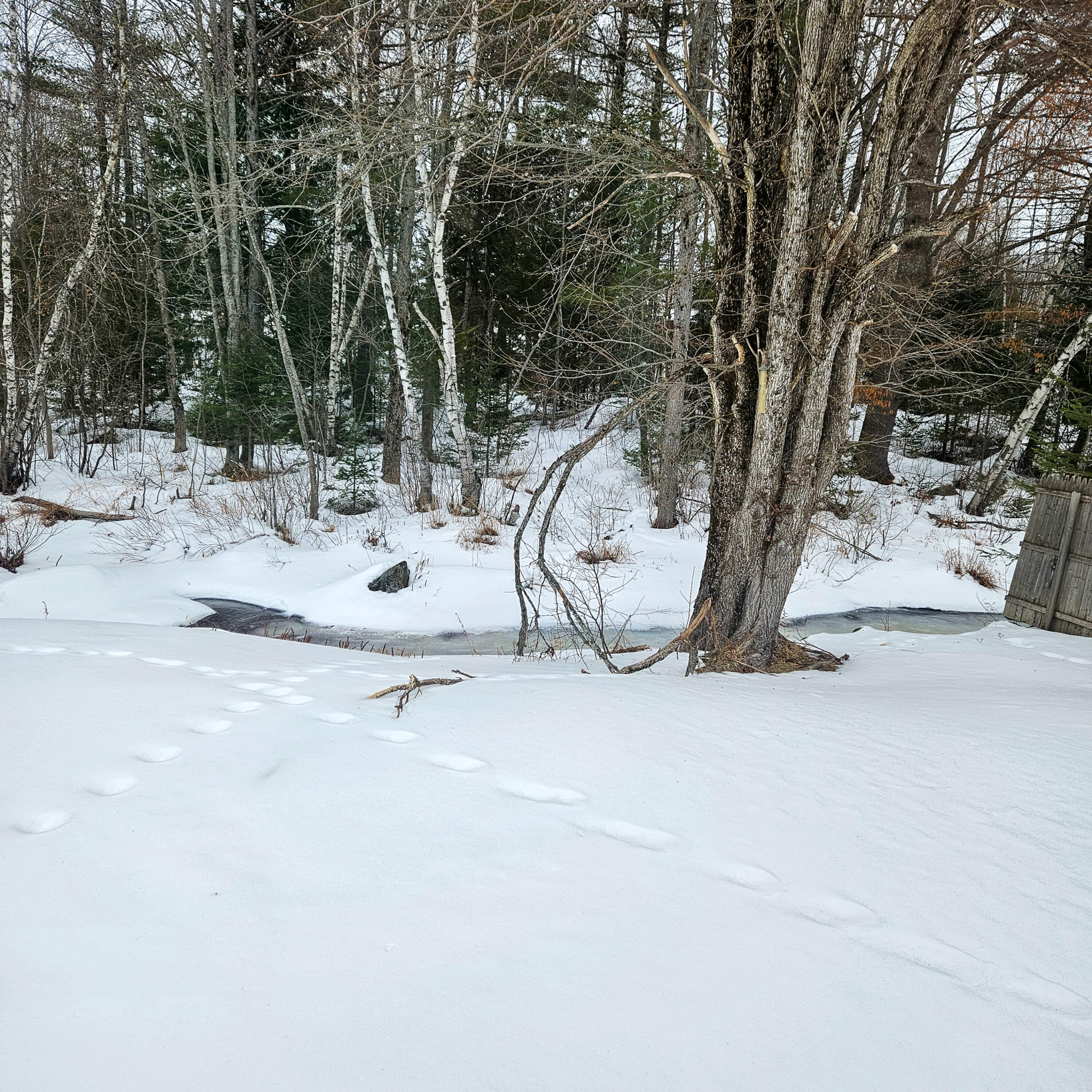 255 Bates Street Millinocket, ME 04462 - Photo 25 of 26 25