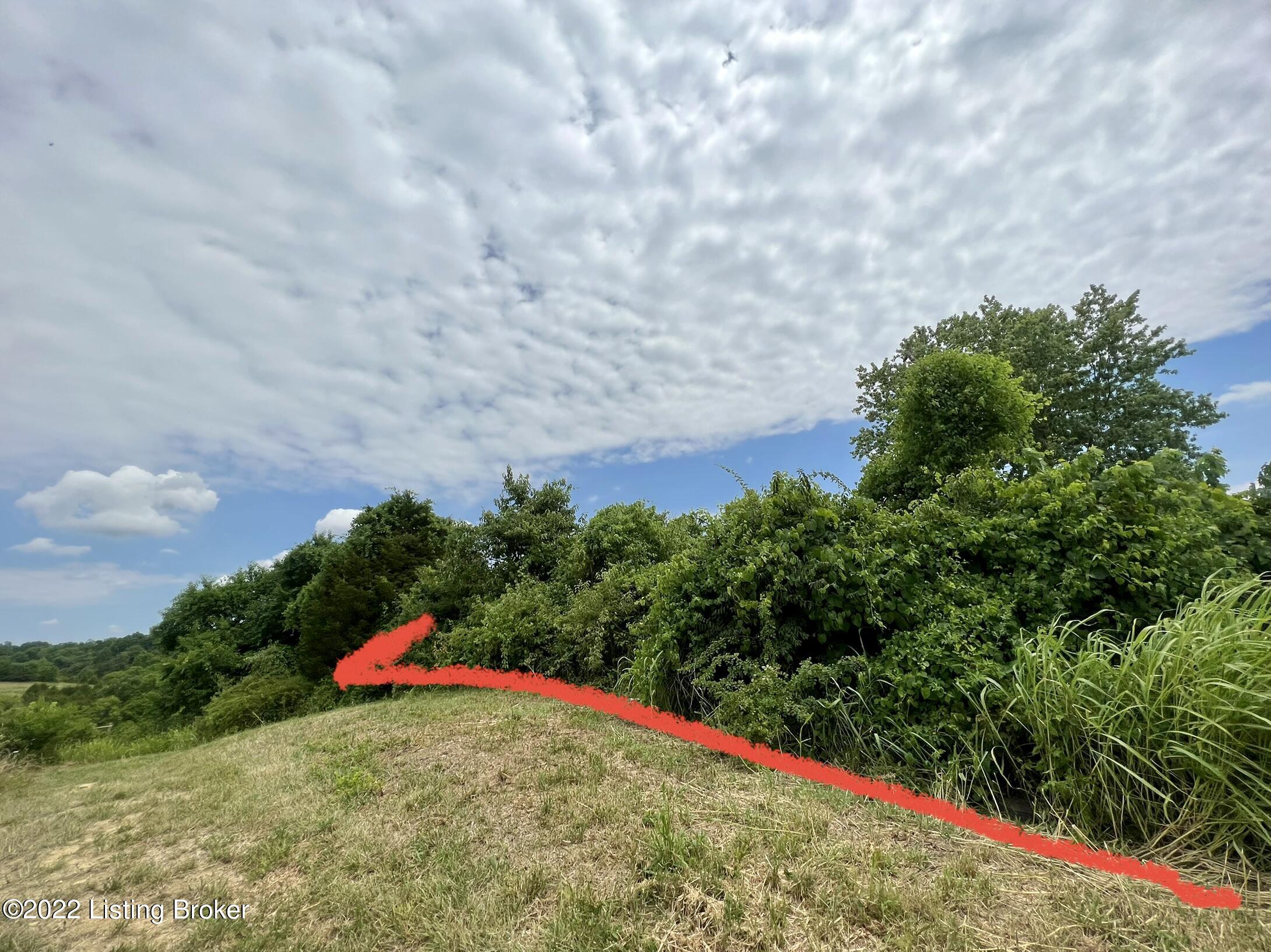 2021 Grapevine Road Harrodsburg, KY 40330 - Photo 9 of 14 5DE58CA9-E2FA-41C7-A669-DCF9C67BE27E
