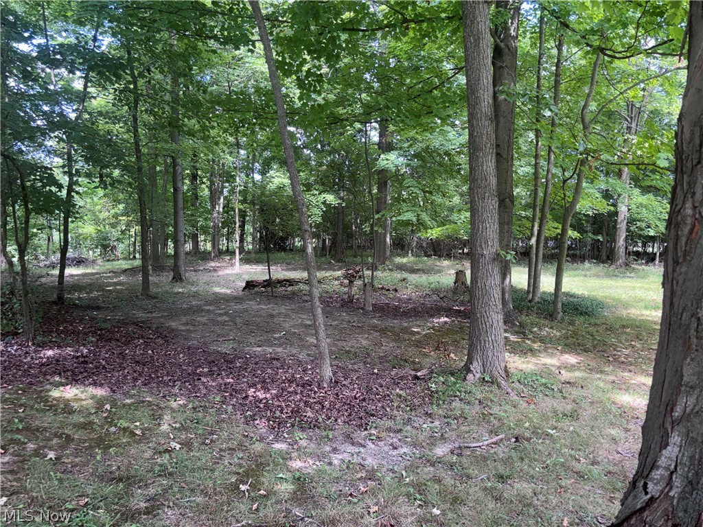 V/l Mason Road Vermilion, OH 44089 - Photo 4 of 5 Gallery Image 4