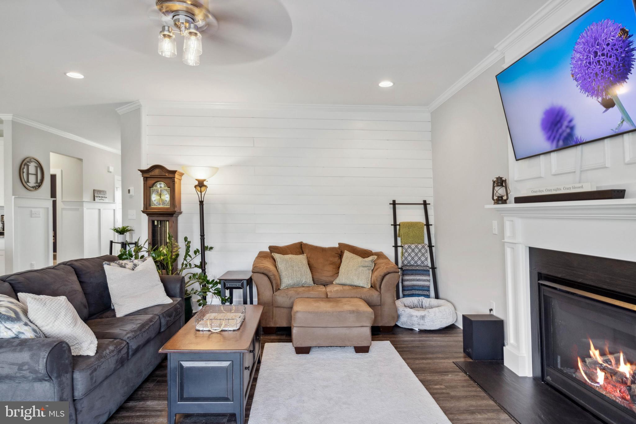 24019 Ingrams Drive Millsboro, DE 19966 - Photo 11 of 49 a living room with furniture and a fireplace