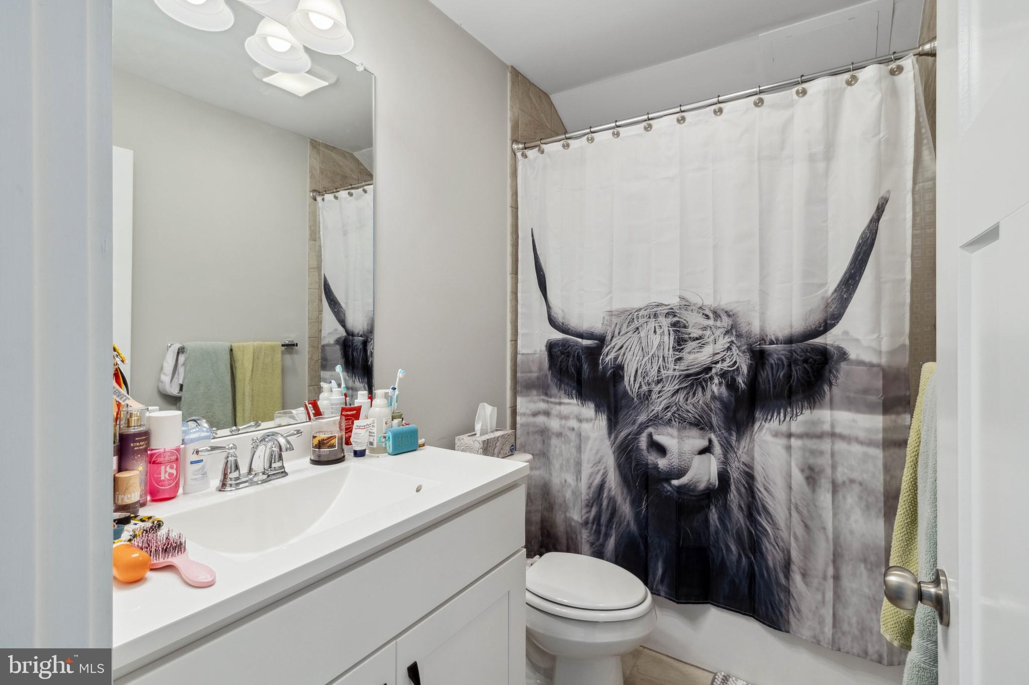 24019 Ingrams Drive Millsboro, DE 19966 - Photo 31 of 49 a bathroom with a sink vanity mirror and toilet
