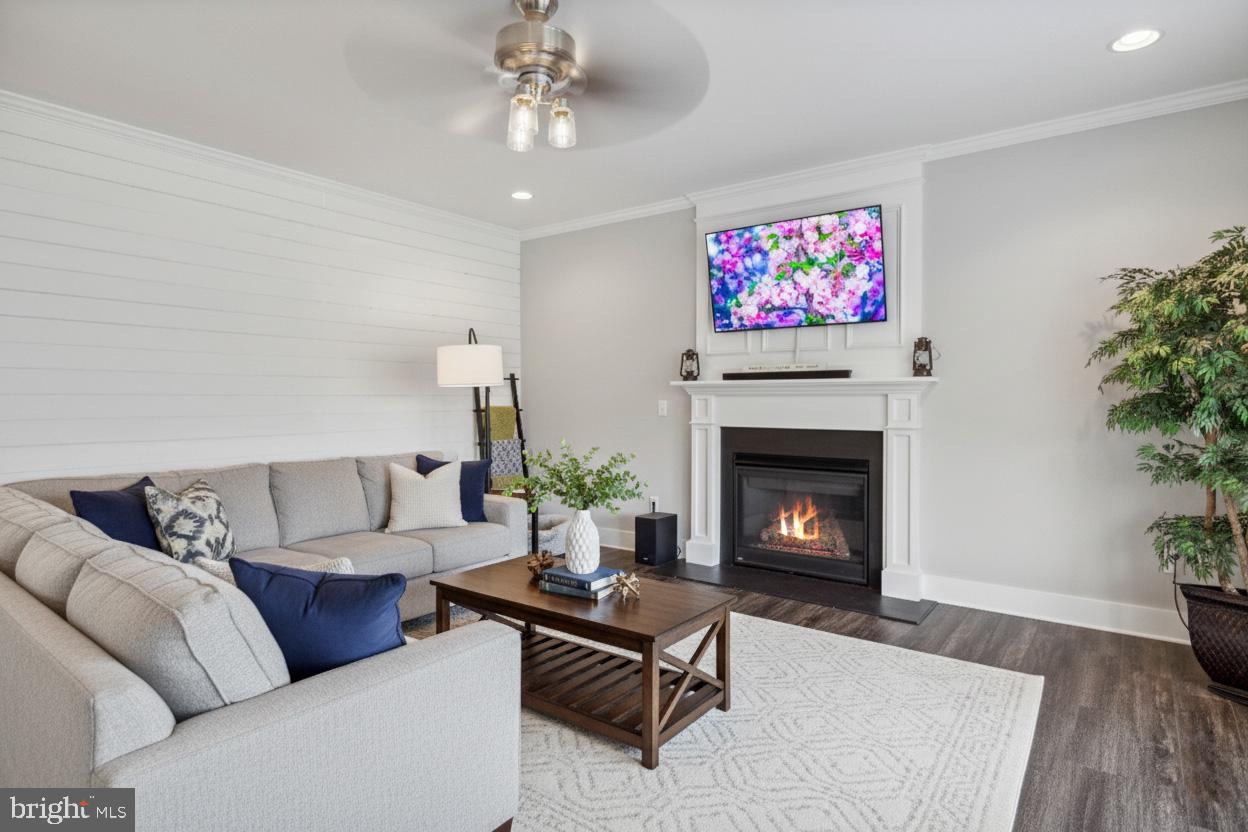 24019 Ingrams Drive Millsboro, DE 19966 - Photo 7 of 49 a living room with furniture a flat screen tv and a fireplace
