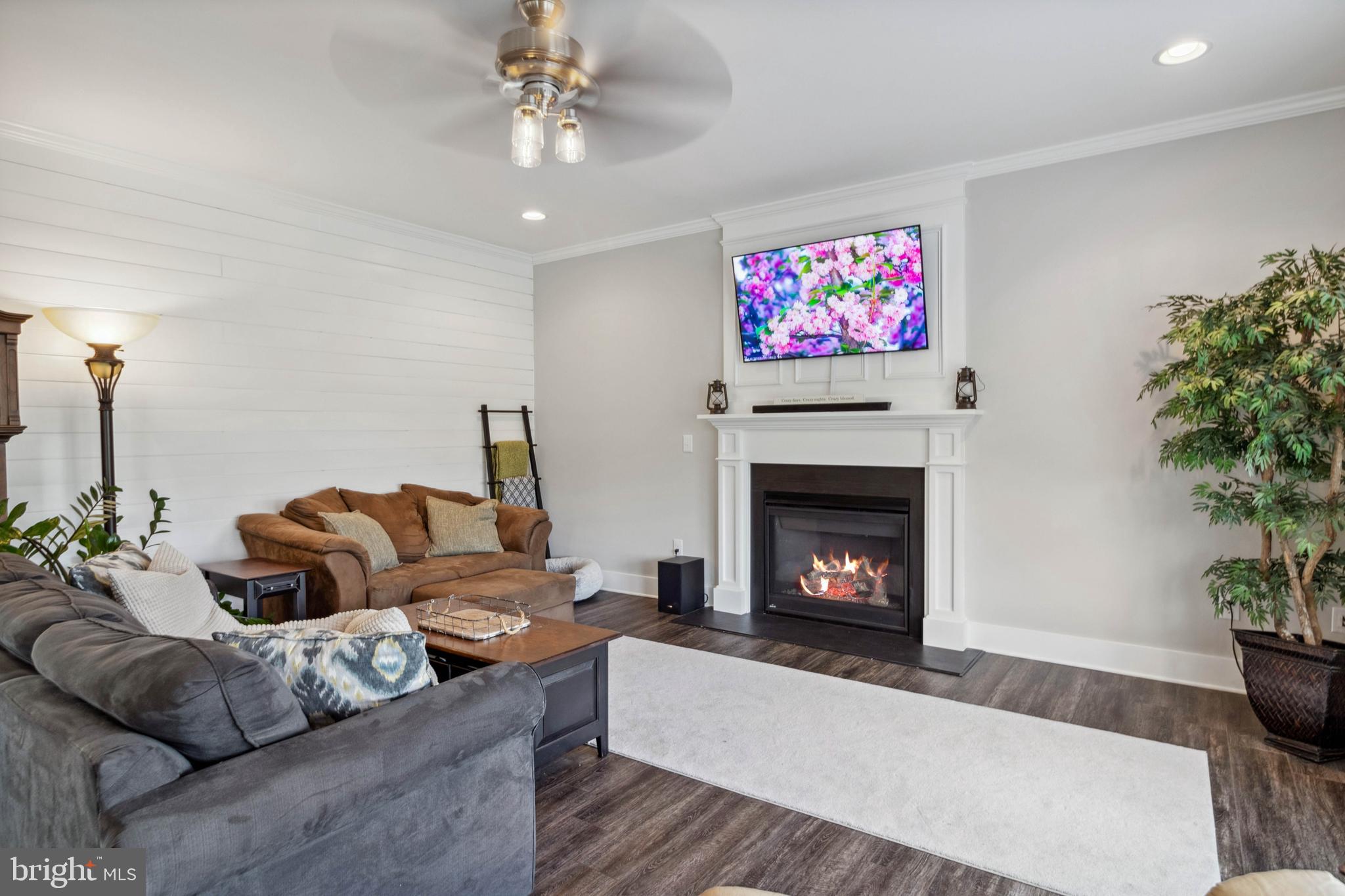 24019 Ingrams Drive Millsboro, DE 19966 - Photo 9 of 49 a living room with furniture a fireplace and a potted plant