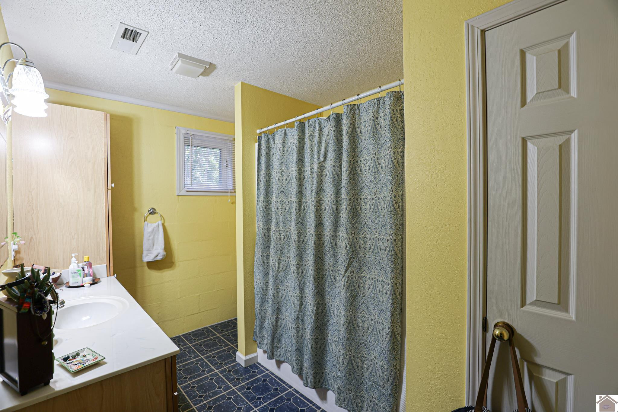 543 Temple Hill Road Almo, KY 42020 - Photo 26 of 40 Primary Bathroom
