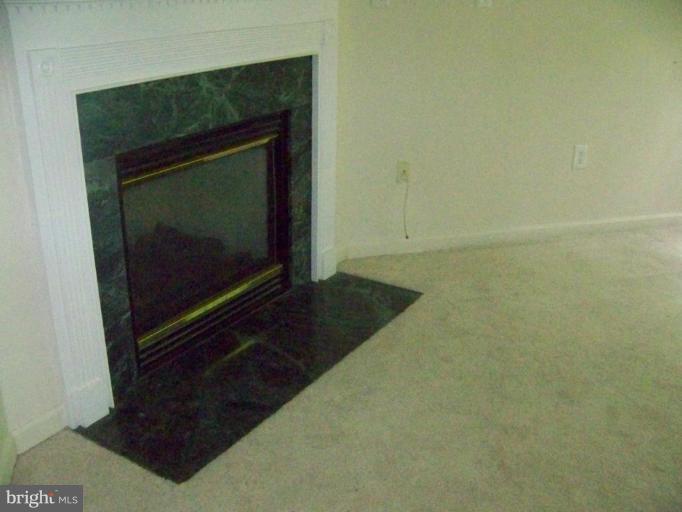 3217 Orient Fishtail Road Laurel, MD 20724 - Photo 18 of 29 Fireplace