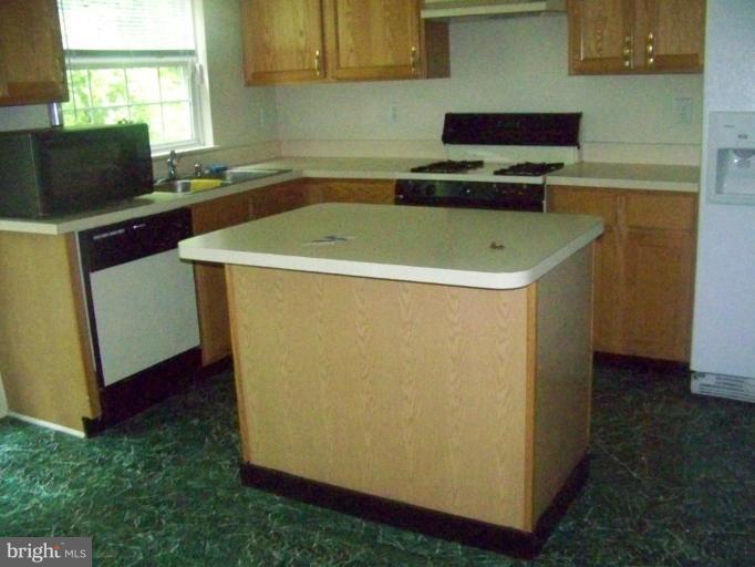 3217 Orient Fishtail Road Laurel, MD 20724 - Photo 27 of 29 Kitchen #2