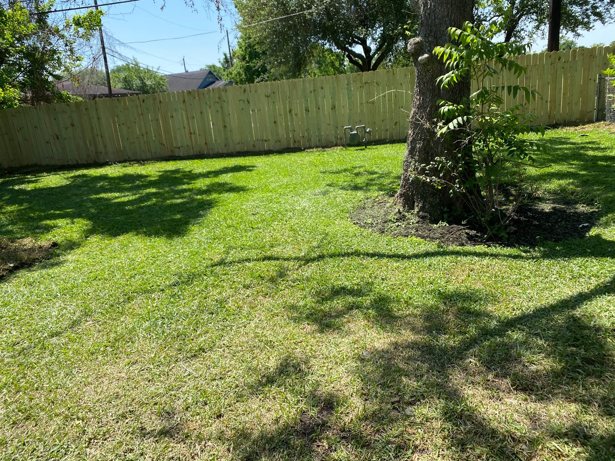 3826 Botany Lane Houston, TX 77047 - Photo 19 of 37 a view of a backyard