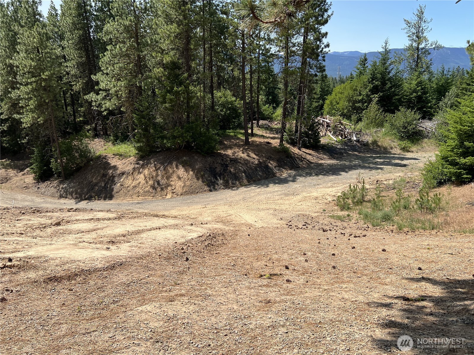 1571 Summit View Road Cle Elum, WA 98922 - Photo 11 of 25