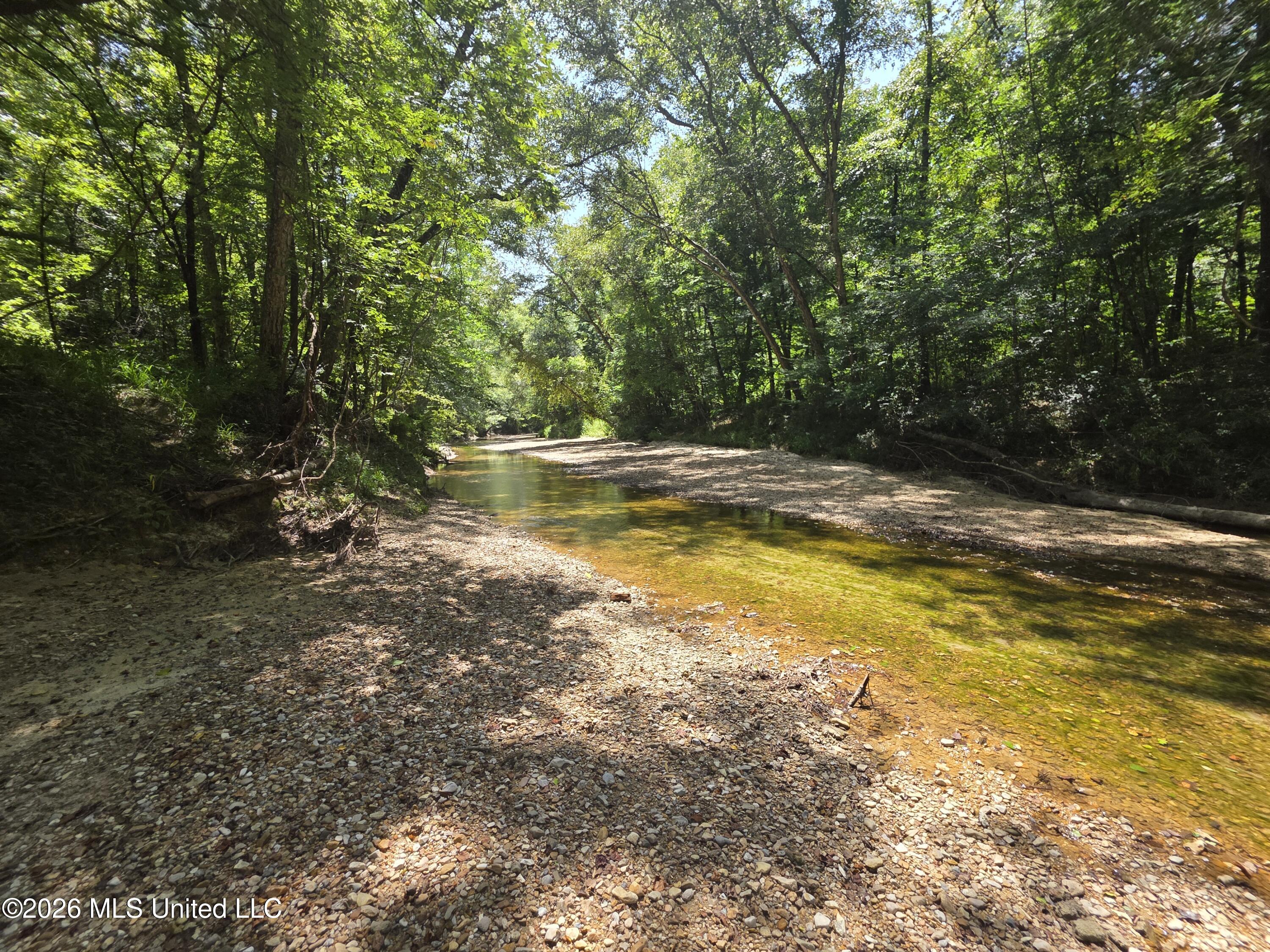 Oldenburg Road Roxie, MS 39661 - Photo 35 of 87 38114