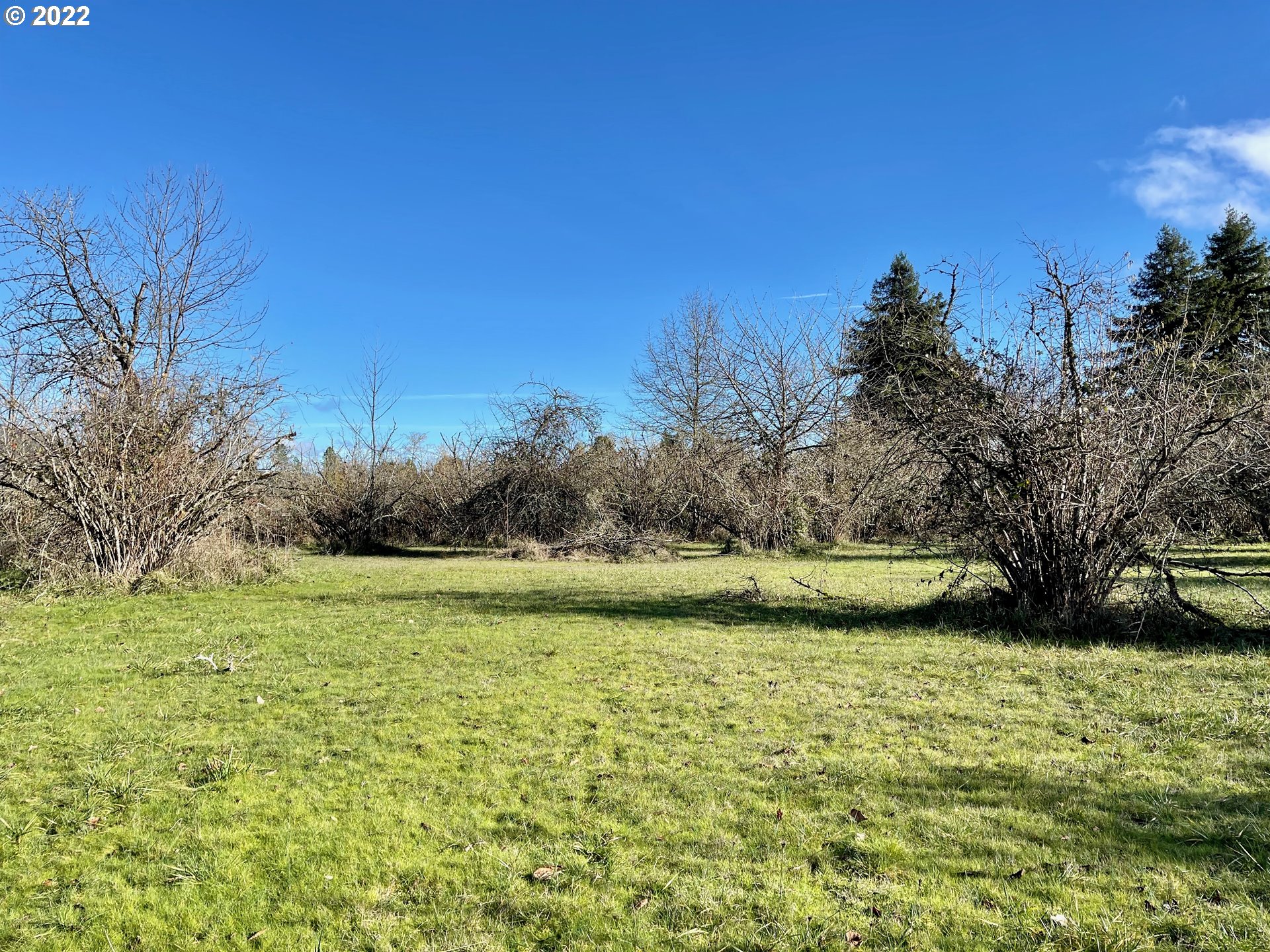 810 54th Street Springfield, OR 97478 - Photo 23 of 25 a view of an ocean with a yard