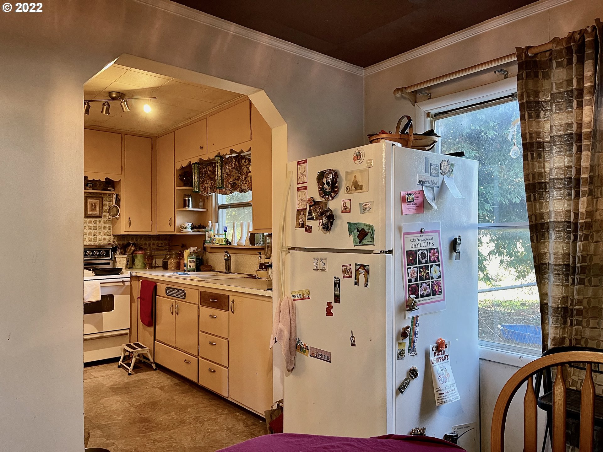 810 54th Street Springfield, OR 97478 - Photo 7 of 25 a kitchen with stainless steel appliances a refrigerator and a stove