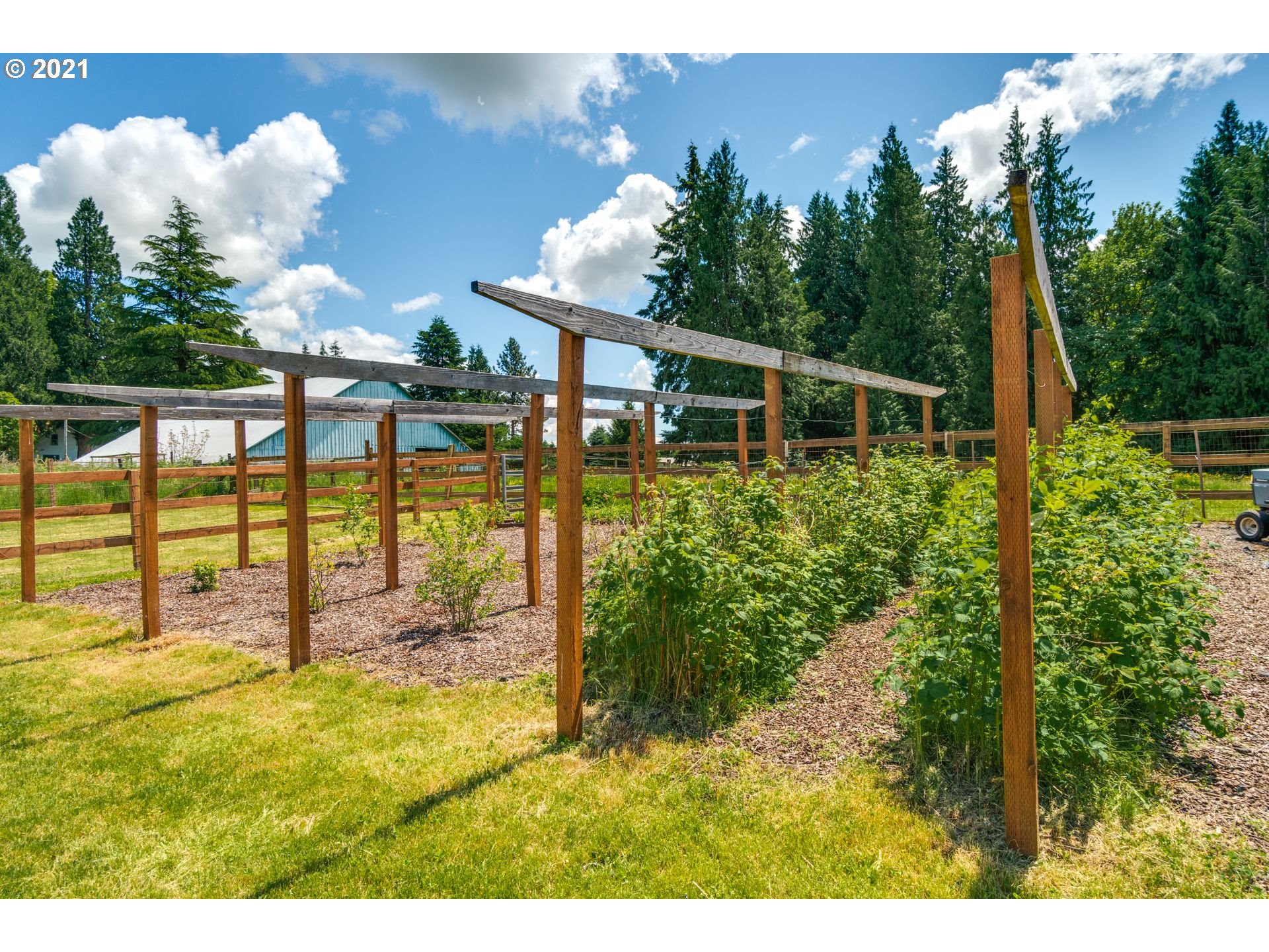 13317 Northeast Prairie Road Brush Prairie, WA 98606 - Photo 23 of 32