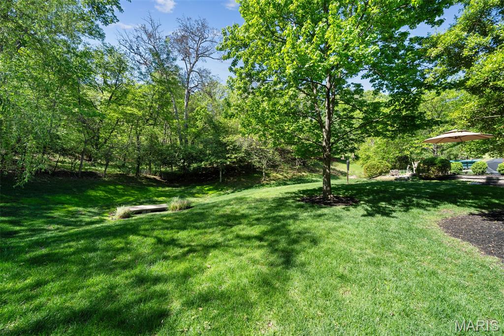 1070 Bridleridge Crossing Spur High Ridge, MO 63049 - Photo 30 of 37 Gallery Image 30
