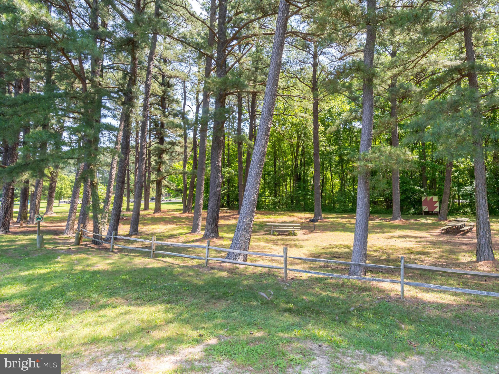 14892 Cherry Lane Ridgely, MD 21660 - Photo 24 of 24 Tuckahoe State Park Picnic Area