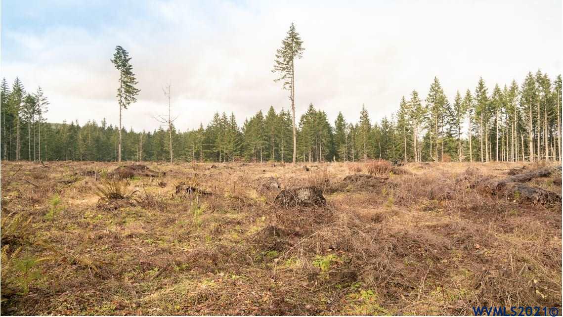 Gooseneck (parcel 289476) Road Sheridan, OR 97378 - Photo 16 of 23