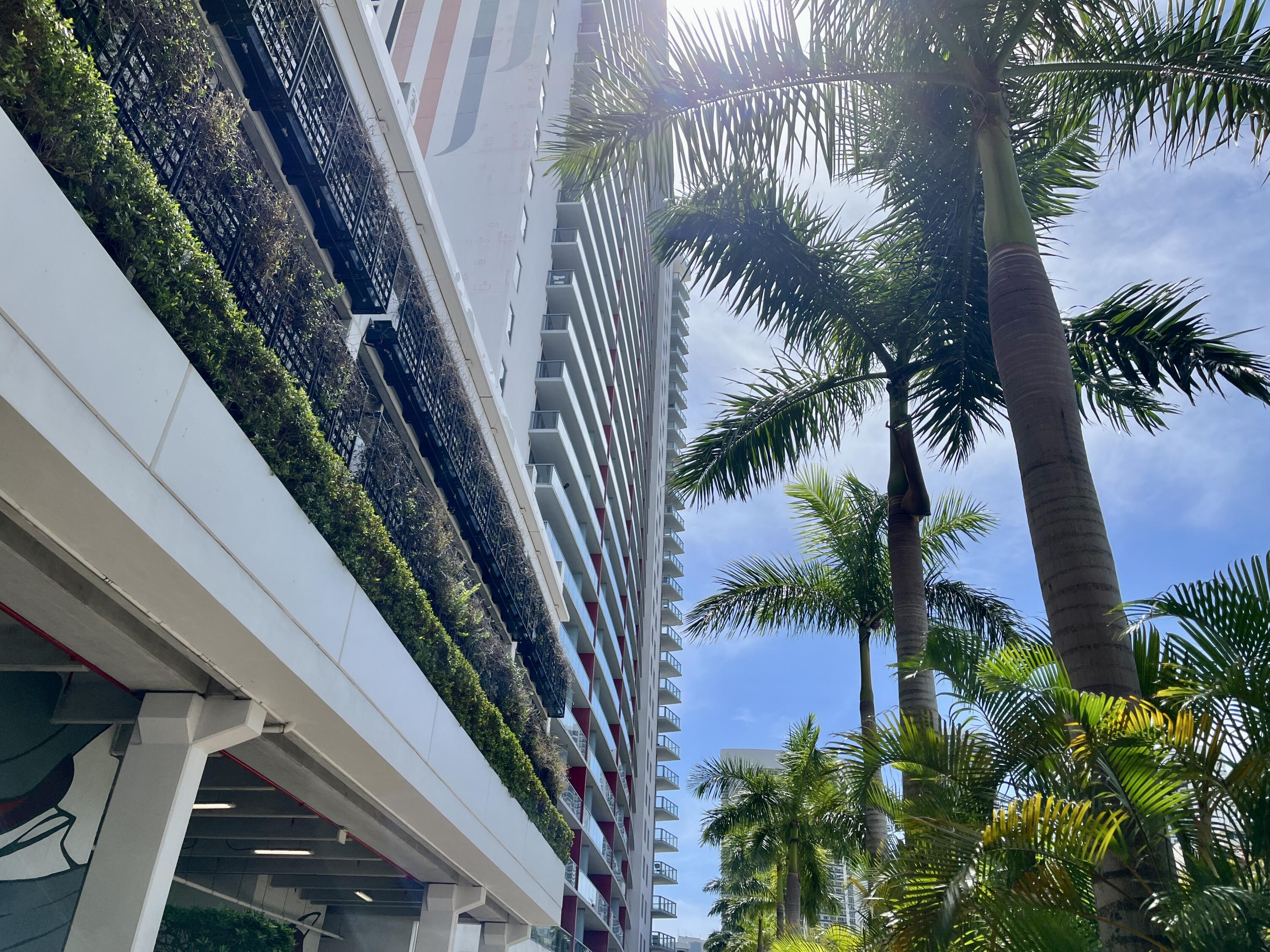 2602 East Hallandale Beach Boulevard, Unit R308 Hallandale Beach, FL 33009 - Photo 46 of 74 a view of a palm plants from a balcony