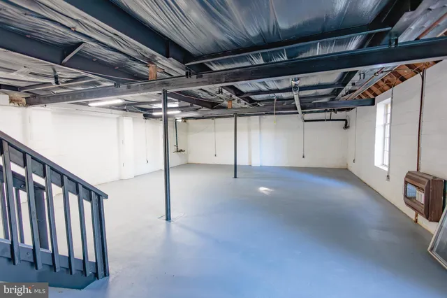 a view of a garden with plants and large trees