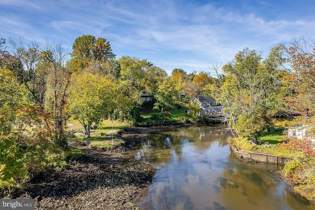 a view of a lot of flowers and flowers