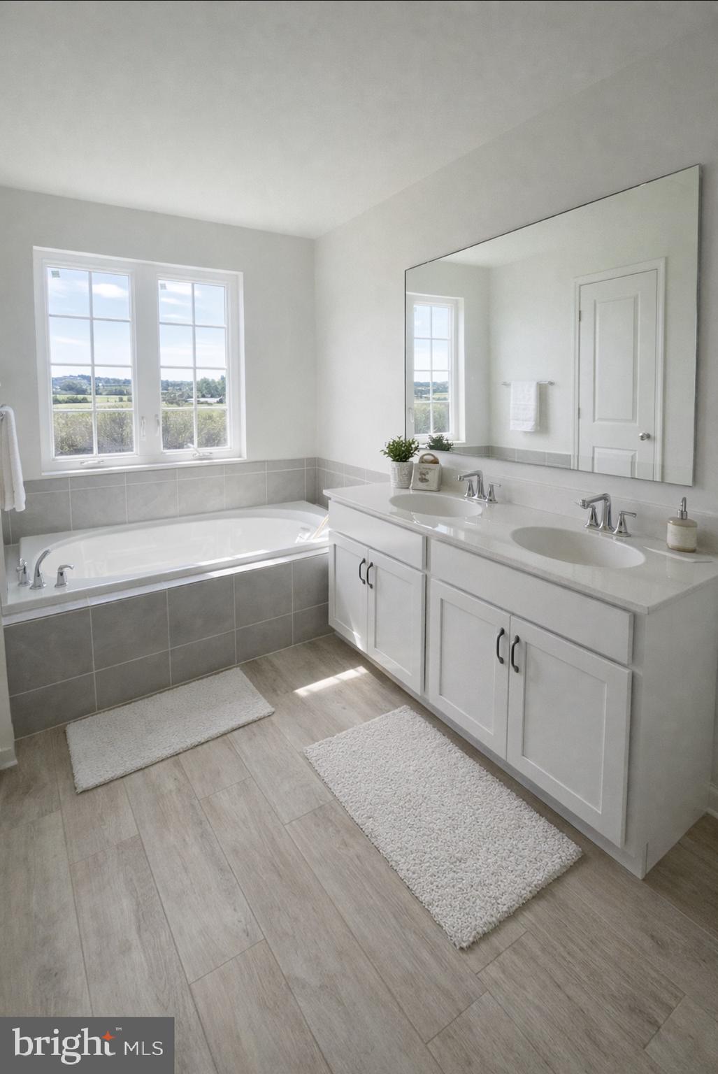442 Rederick Lane Middletown, DE 19709 - Photo 10 of 16 a spacious bathroom with a tub sink and mirror