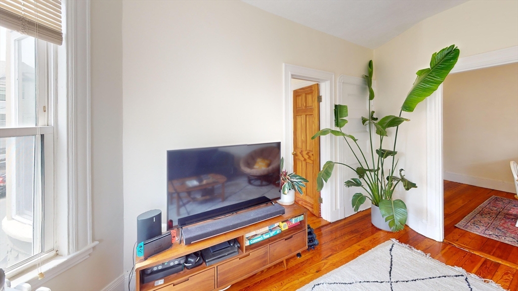 22 Boynton Street Boston, MA 02130 - Photo 4 of 34 a living room with furniture and a potted plant