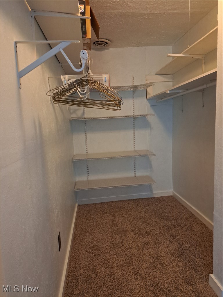 49197 John Tomcho Road Cumberland, OH 43732 - Photo 40 of 50 Walk in closet in master bedroom