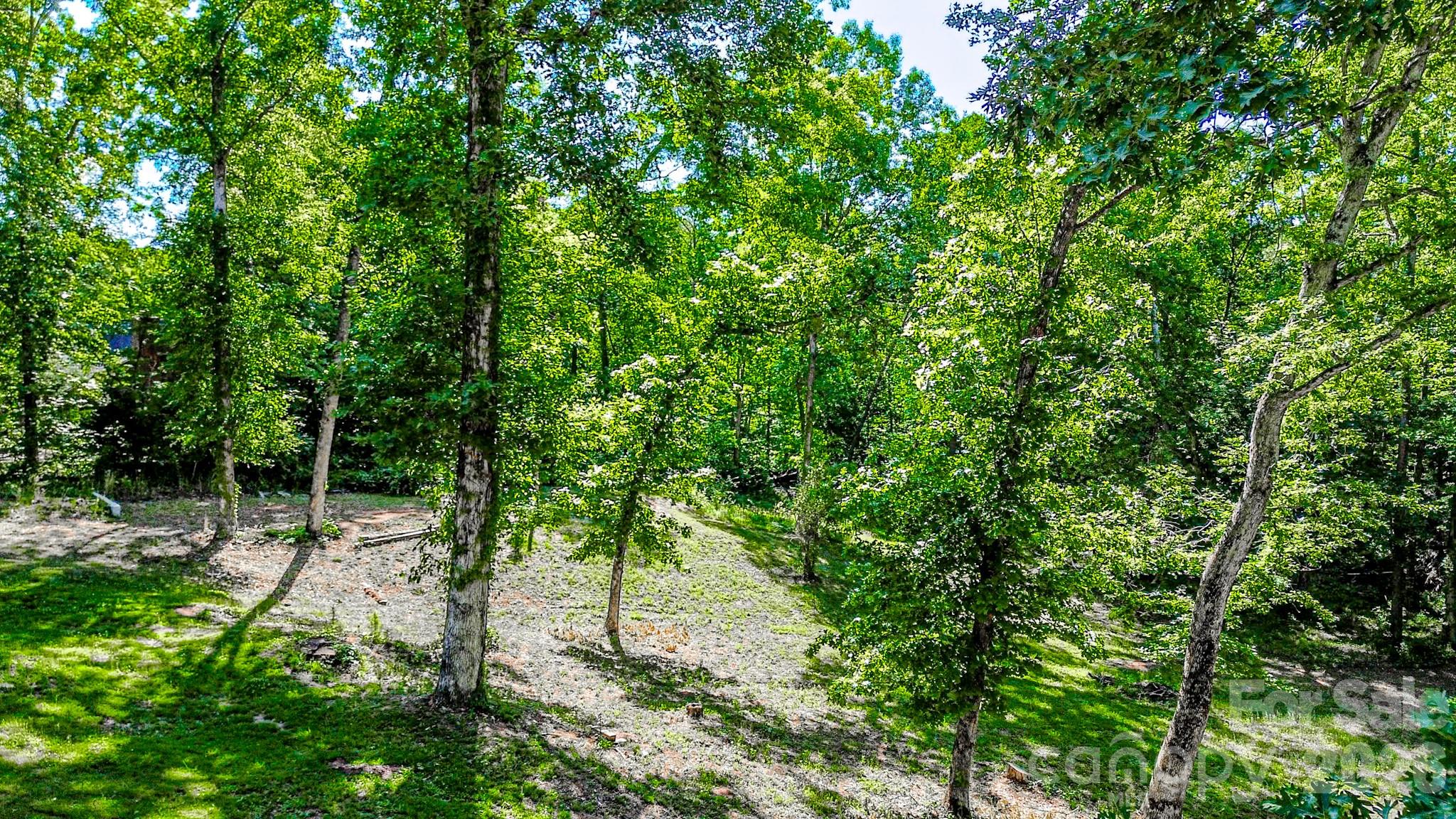 142 Padgett And Burns Road Forest City, NC 28043 - Photo 42 of 48