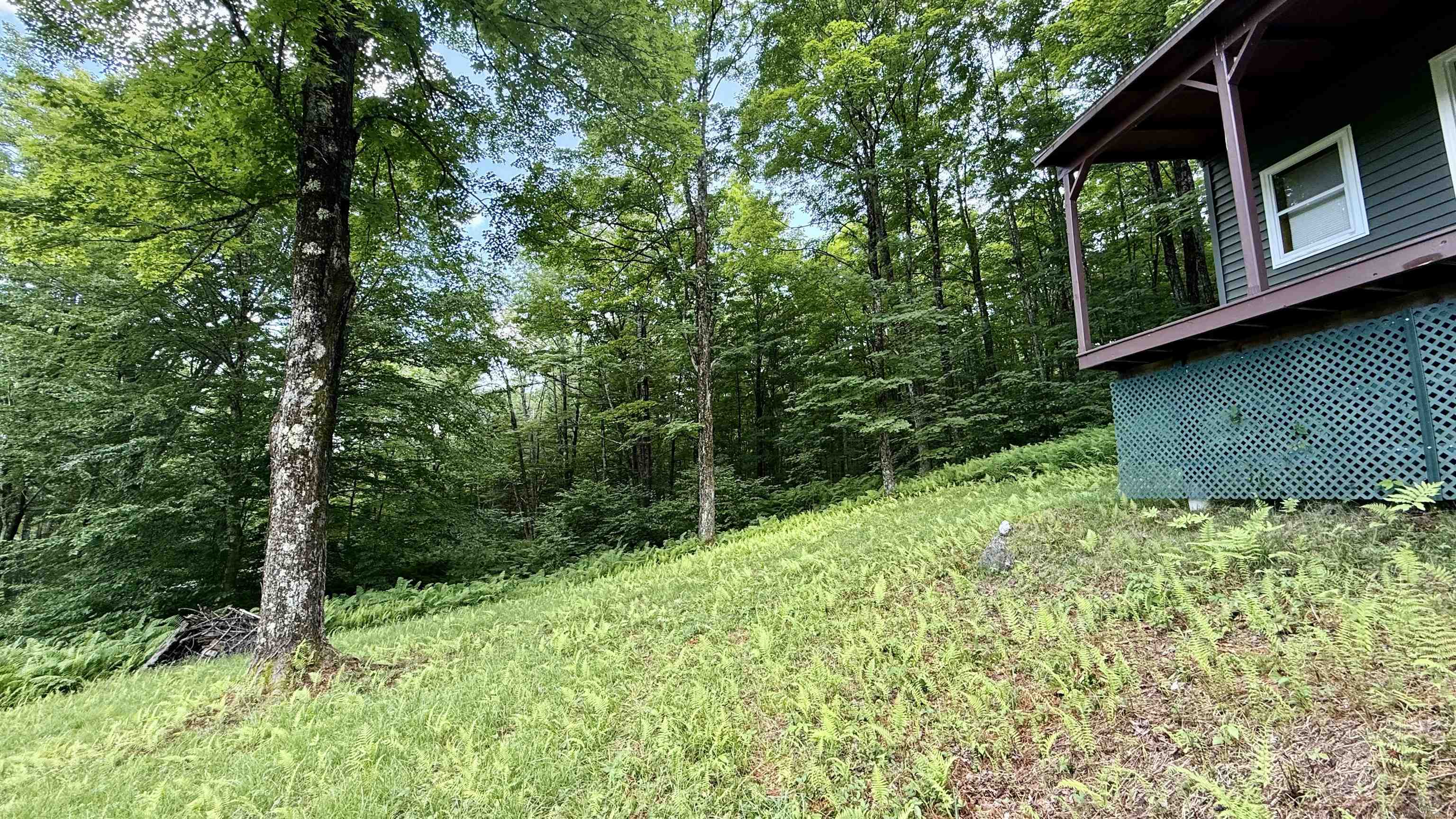 2075 Codding Hollow Road Johnson, VT 05656 - Photo 3 of 54