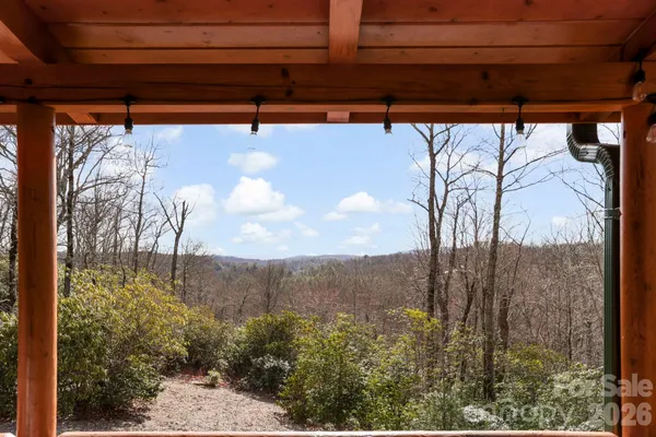 a view of a lot of trees