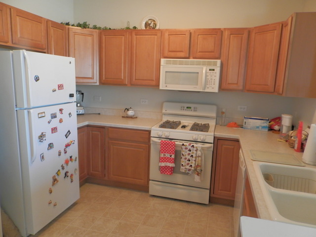 13540 Hemlock Road Huntley, IL 60142 - Photo 6 of 17